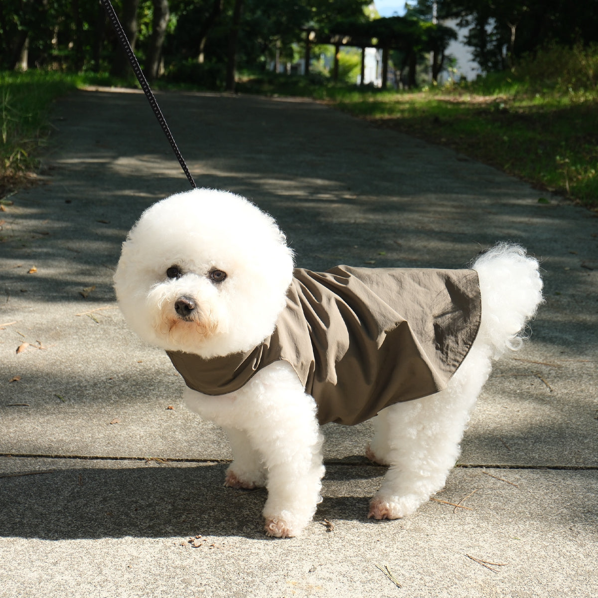 【ダントツ撥水®︎わんわんレイン】 - 小松マテーレORIGINAL