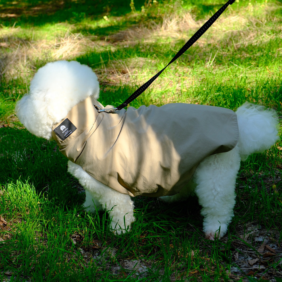 【ダントツ撥水®︎わんわんレイン】 － 小松マテーレORIGINAL