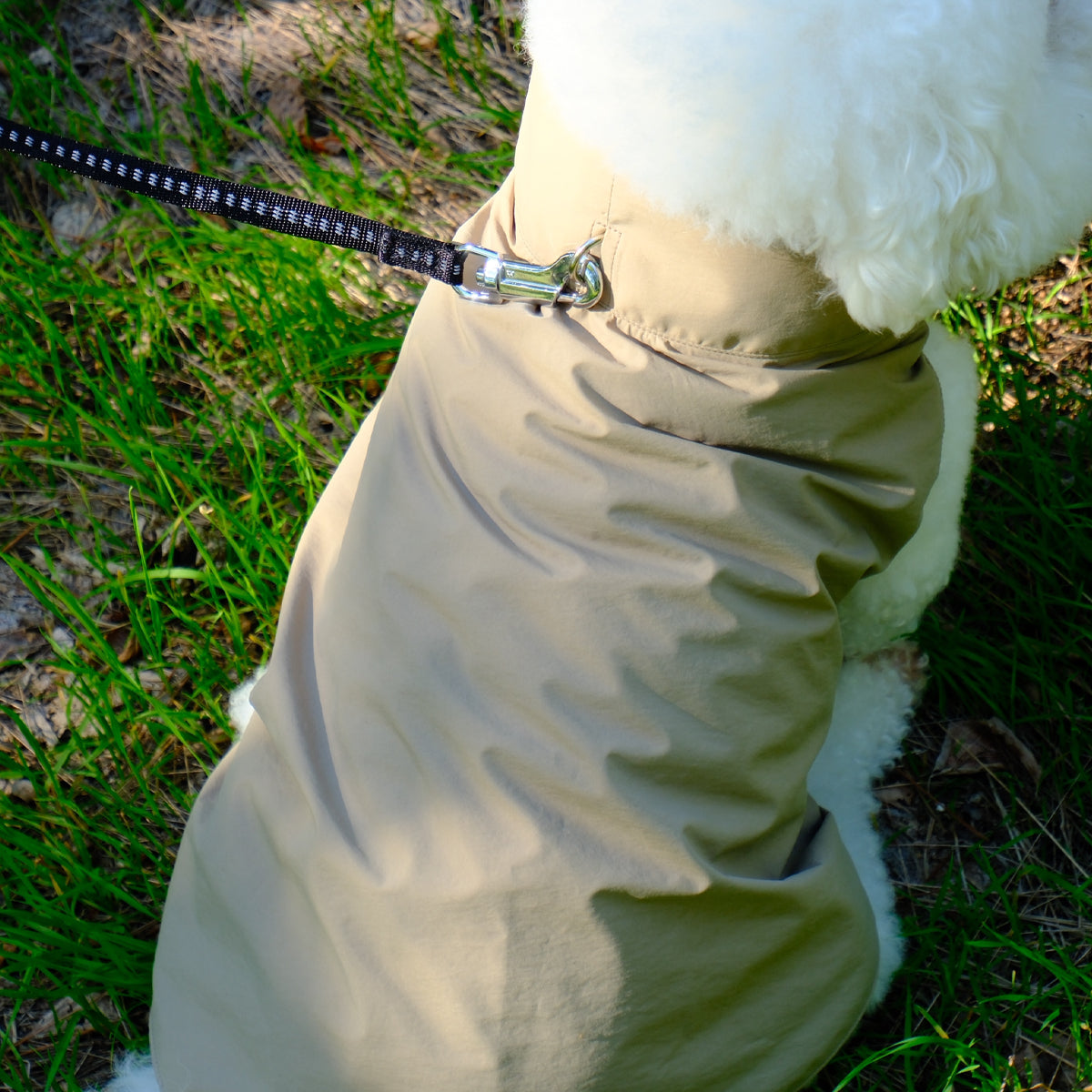 【ダントツ撥水®︎わんわんレイン】 － 小松マテーレORIGINAL