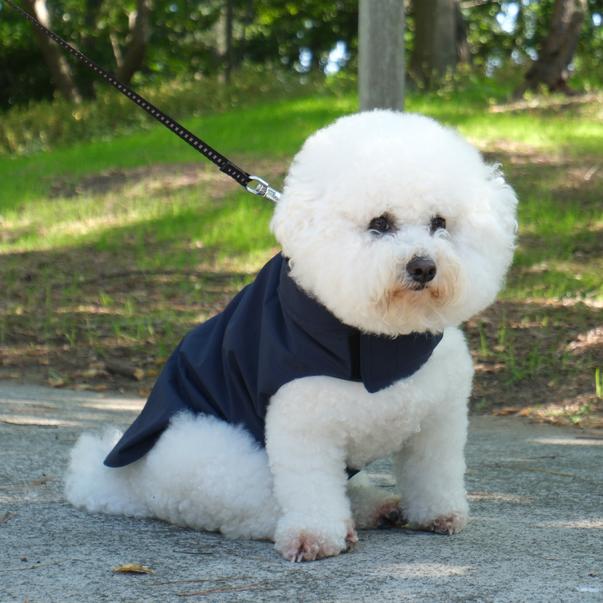 【ダントツ撥水®︎わんわんレイン】 － 小松マテーレORIGINAL