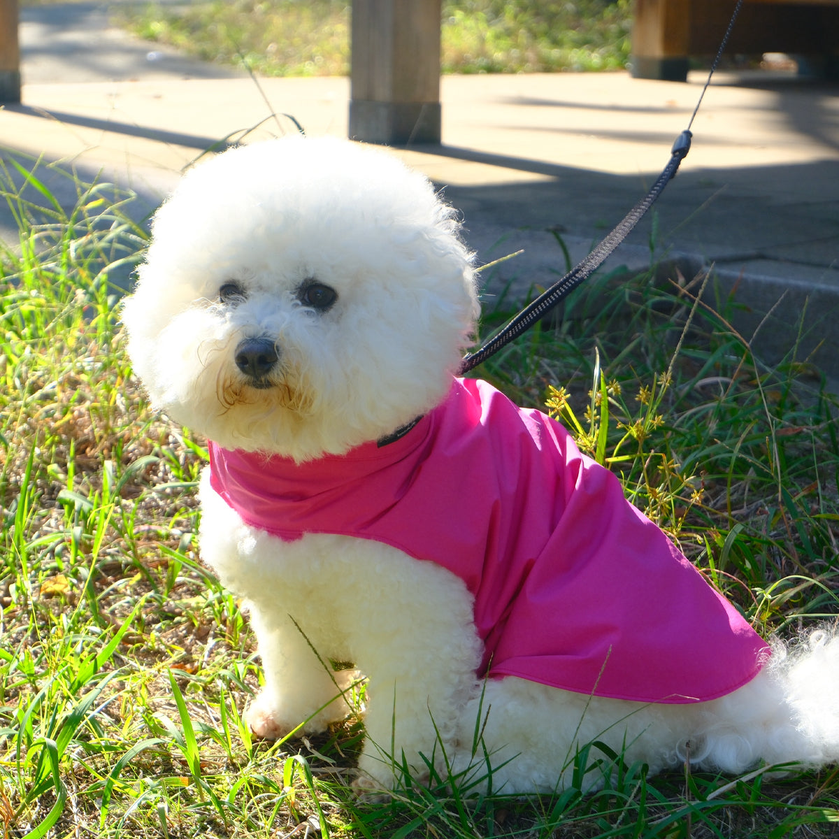 【ダントツ撥水®︎わんわんレイン】 － 小松マテーレORIGINAL