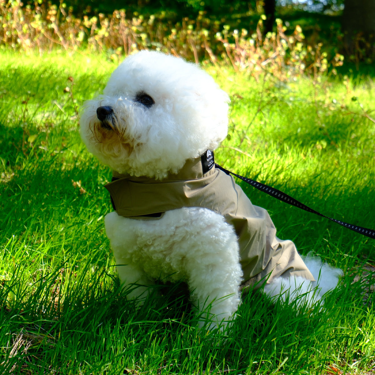 【ダントツ撥水®︎わんわんレイン】 － 小松マテーレORIGINAL