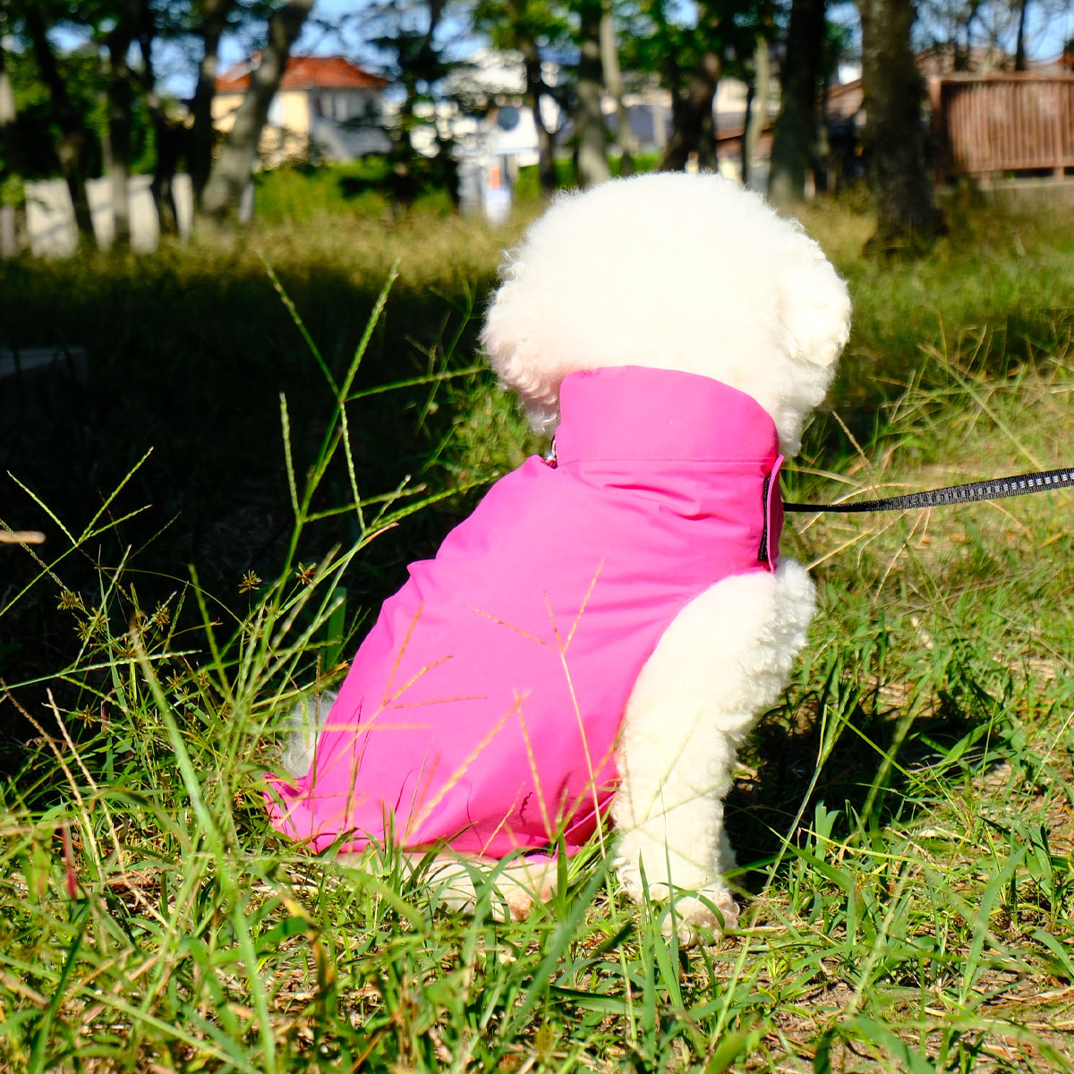 【ダントツ撥水®︎わんわんレイン】 － 小松マテーレORIGINAL